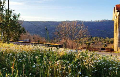 Quinta dos Carvalhais - Serra da Estrela - Foto 8