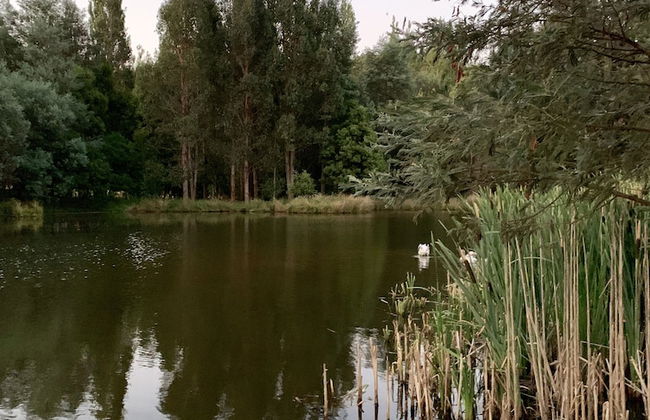 Giants Table and Cottages - Foto 54