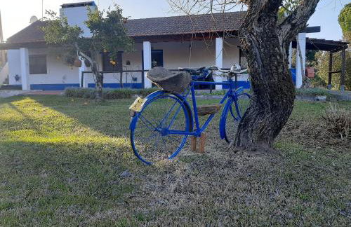 Monte das Laranjeiras - Foto 14