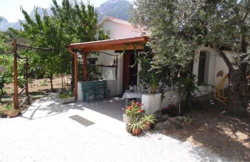 Villa L'Oliveto - Foto 6