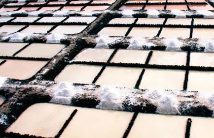 Blue Views - Foto 29