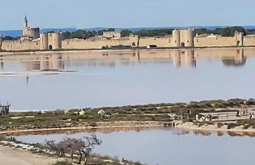 Maison Boéri proche plage à Aigues-Mortes - Foto 28
