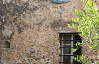 Concha Aurea Apartments - Photo 14