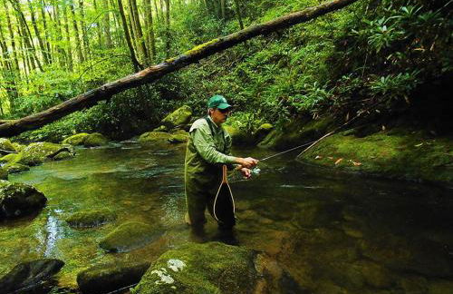 The Junction - Foto 34