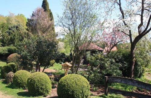 Ferienwohnung Rothirsch - Foto 41