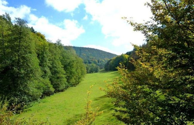 Apartment in the Odenwald With Terrace - Foto 36