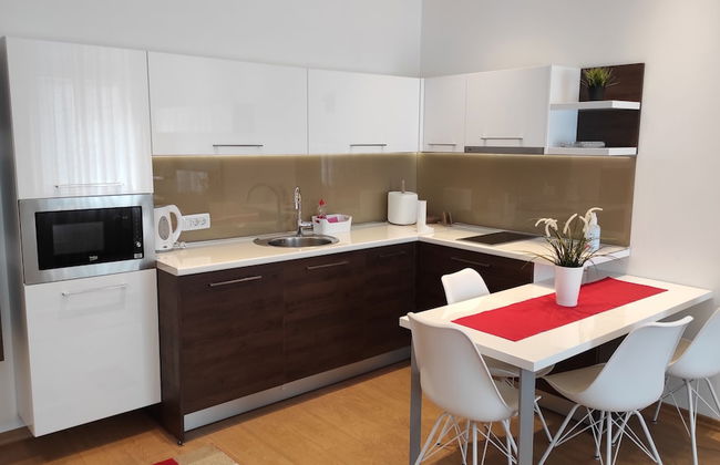 Apartments Sarajevo City Hall - Foto 17