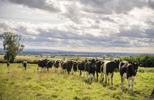 Church Farm - Foto 33