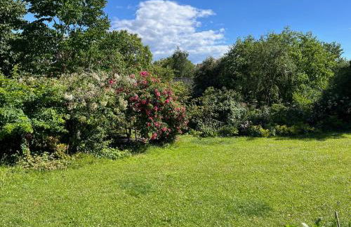 Pfarrhaus Tollensesee - Foto 21