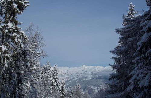 Chalet montagne Savoie Domaine Skiable Valmorel - Foto 27