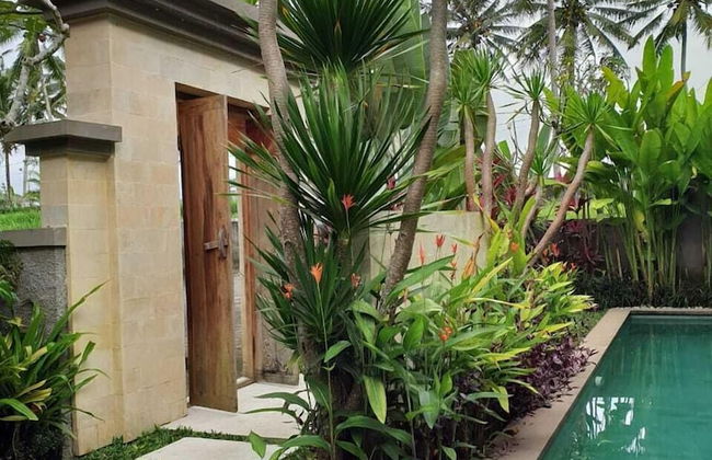 Amanda Ubud Villa - Foto 29