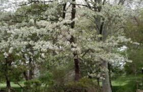 Home Comforts in Peaceful 2 Acres - Photo 66