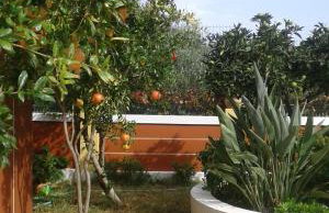 Astra Village & Suites - Photo 34