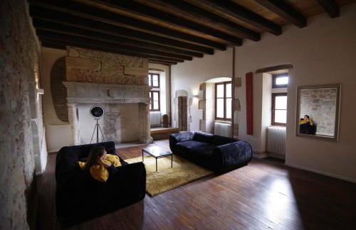 Chateau de Saint Dau - Foto 39