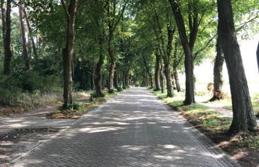 Ferienhaus Atelier am Südhang - Foto 27