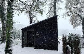 The Badger - Foto 45