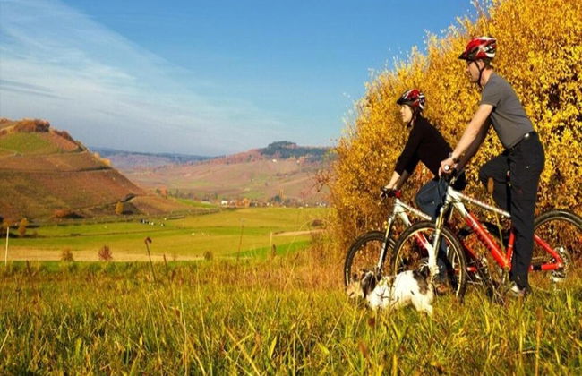 Apartment in Veldenz With Balcony - Foto 23