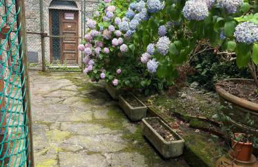 Alloggio nel Parco Alpi Apuane - Carnevale di Viareggio - Foto 20