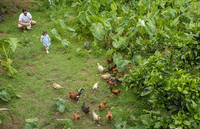 Quinta do Martelo - Photo 25