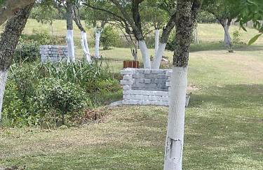 Pousada das Palmeiras - Foto 31