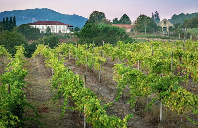 Holiday Home in Ponte de Lima With Pool - Foto 15