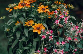 Pepper & Paper Apartments - Foto 92