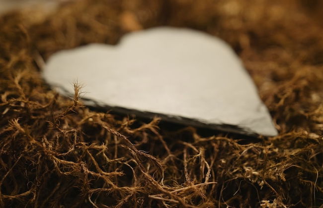 S'harzala Taupe - Foto 12