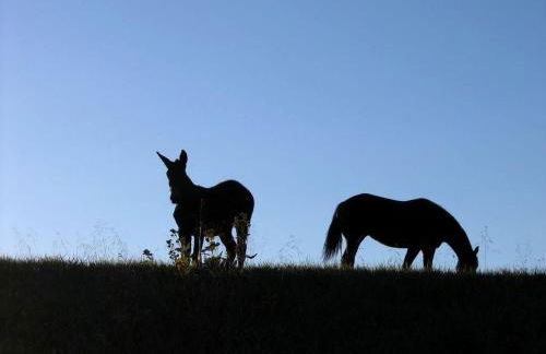 Lovely Barn Rental with Activities near Shenandoah National Park, Virginia - Foto 31