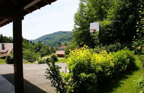 Holiday Home in Vosges with Garden and BBQ - Foto 12