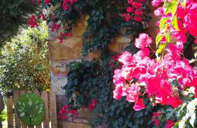 Casa Rural La Posada del Alba - Foto 2