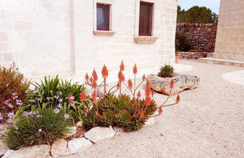 Masseria Giustiniani - Foto 48