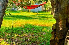 Sunray Separate Villa - Photo 4