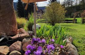 Ferienwohnung Sägemühle - Foto 32