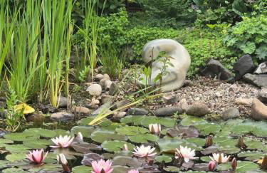 Ferienwohnung Fischer - Photo 24