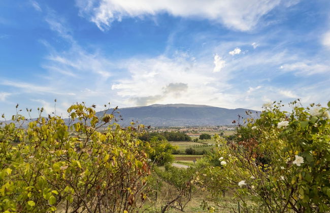 Classic Villa for Family With Pets - Photo 36