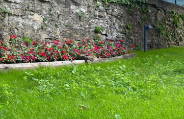 Il Giardino Segreto - Foto 31