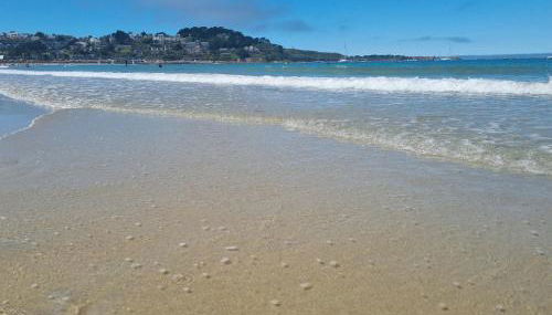 Gîtes Aux Quatre vents - Photo 3