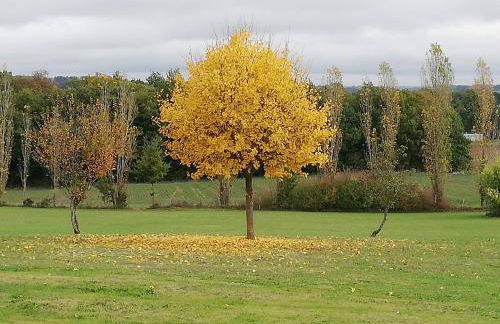 Les Chalets de Grazimis - Photo 30