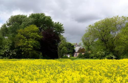 Druidenhain Hof Neudamm - Foto 6
