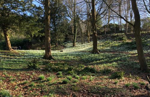 Cotswold Lodge - Foto 98