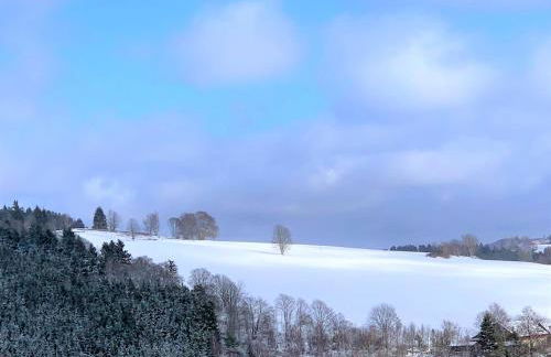 Ferienhaus direkt am Diemelsee-Heringhausen-Willingen-Toplage-Sauna-3 Schlafzimmer-2 Terrassen-109 qm-incl Wäsche - Foto 36