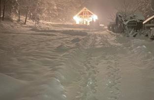 Forest house - Foto 16