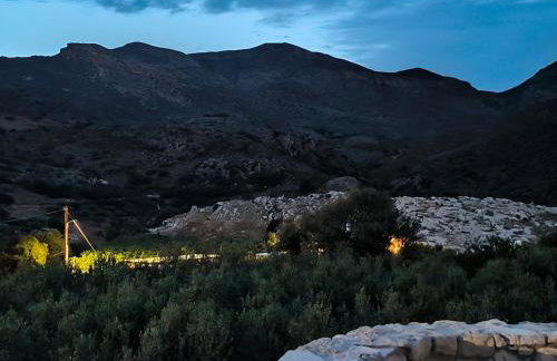 Aloni Studio - Foto 33