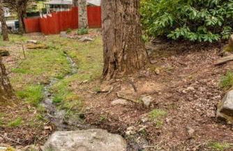 Soco Serene Cabin in the Heart of Maggie Valley - Foto 5