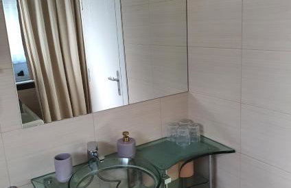 Apartment Sandra Toplice Sveti Martin - Foto 24