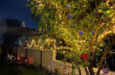 Σπιτάκι στον κήπο - Foto 47