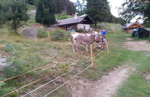 Baita Martin da Fist - Foto 48