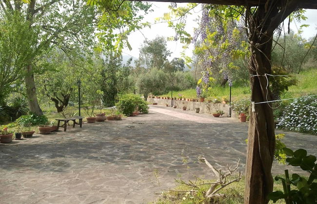 La Gabbianella e il Gatto - Foto 22