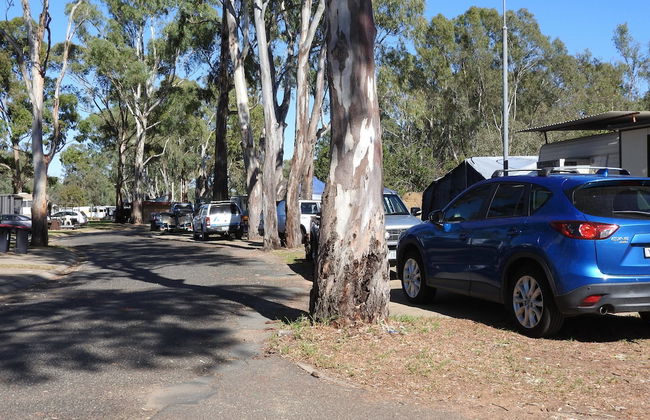 Victoria Lake Holiday Park - Photo 10