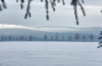 Ferienwohnung "Waldzauber" - Foto 38